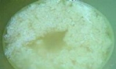 甜酒酿