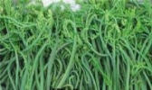 东至蕨菜