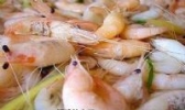 白虾