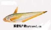 芜湖刀鱼