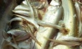 曹集河鲜