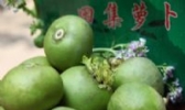田集萝卜