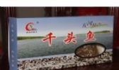 沱湖千头鱼