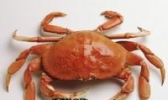 丁湖螃蟹