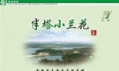 半塔茶叶