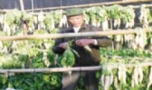 南靖郑店菜脯汁