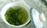 龙岩斜背茶