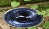 玉面油滴盏