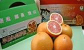 顺昌红肉脐橙