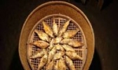 鲤干
