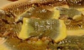 龙风汤