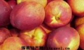 桃驳李