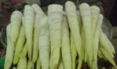 黄尖笋