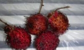 鸳鸯果