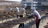 源和堂蜜饯