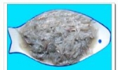 定海湾丁香鱼