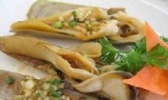 鸡茸鱼唇
