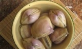 长乐漳港海蚌