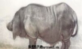 安福米猪