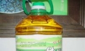 五百里井冈茶油