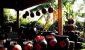 黄土岗冬酒