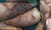 乐安竹笋