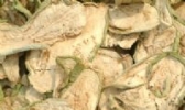余江茄子干