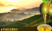 三清山山茶油