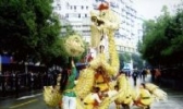 湖口草龙