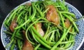 鄱阳湖藜蒿