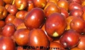 峄县大枣