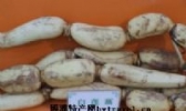 黄沟旱藕