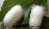 兖州织丝