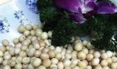 芡实