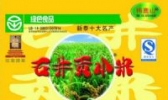 石井贡小米