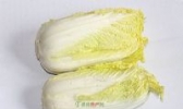 泰安黄芽白菜