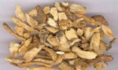 玉竹