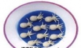章鱼