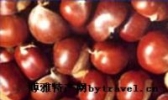 泰安板栗