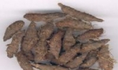 汶香附