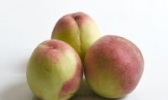 肥桃