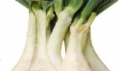 莱芜鸡腿葱