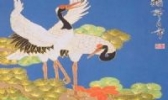 金丝贴