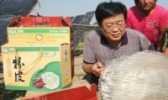 博兴千张粉皮