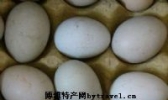 马踏湖金丝鸭蛋