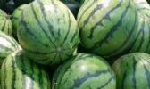 费县西瓜