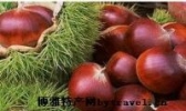 下村板栗