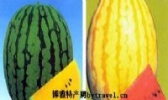 兴梅西瓜