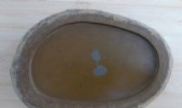 龟石砚