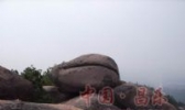 昌乐木鱼石